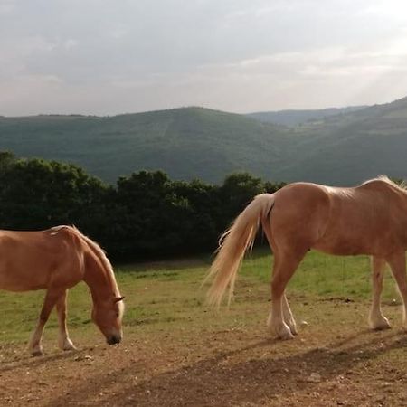 B&B Ca Montemezzano Βερόνα Εξωτερικό φωτογραφία