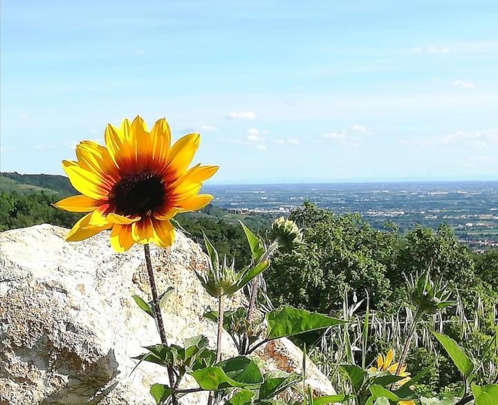 B&B Ca Montemezzano Βερόνα Εξωτερικό φωτογραφία